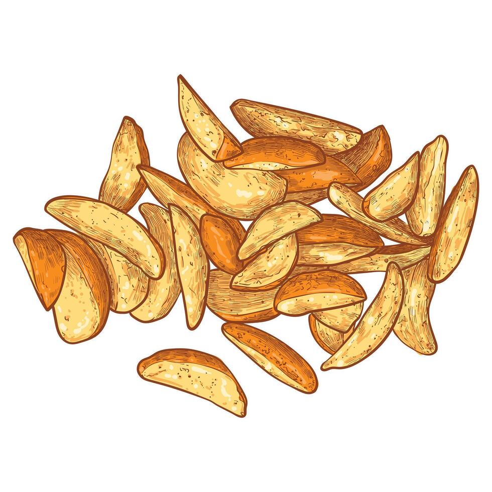 Hand drawn top view wedges. Tasty yellow orange crispy wedges with outline, fill, details in separate groups. The middle wedges are merged. This asset is ready to use and easy to edit. vector