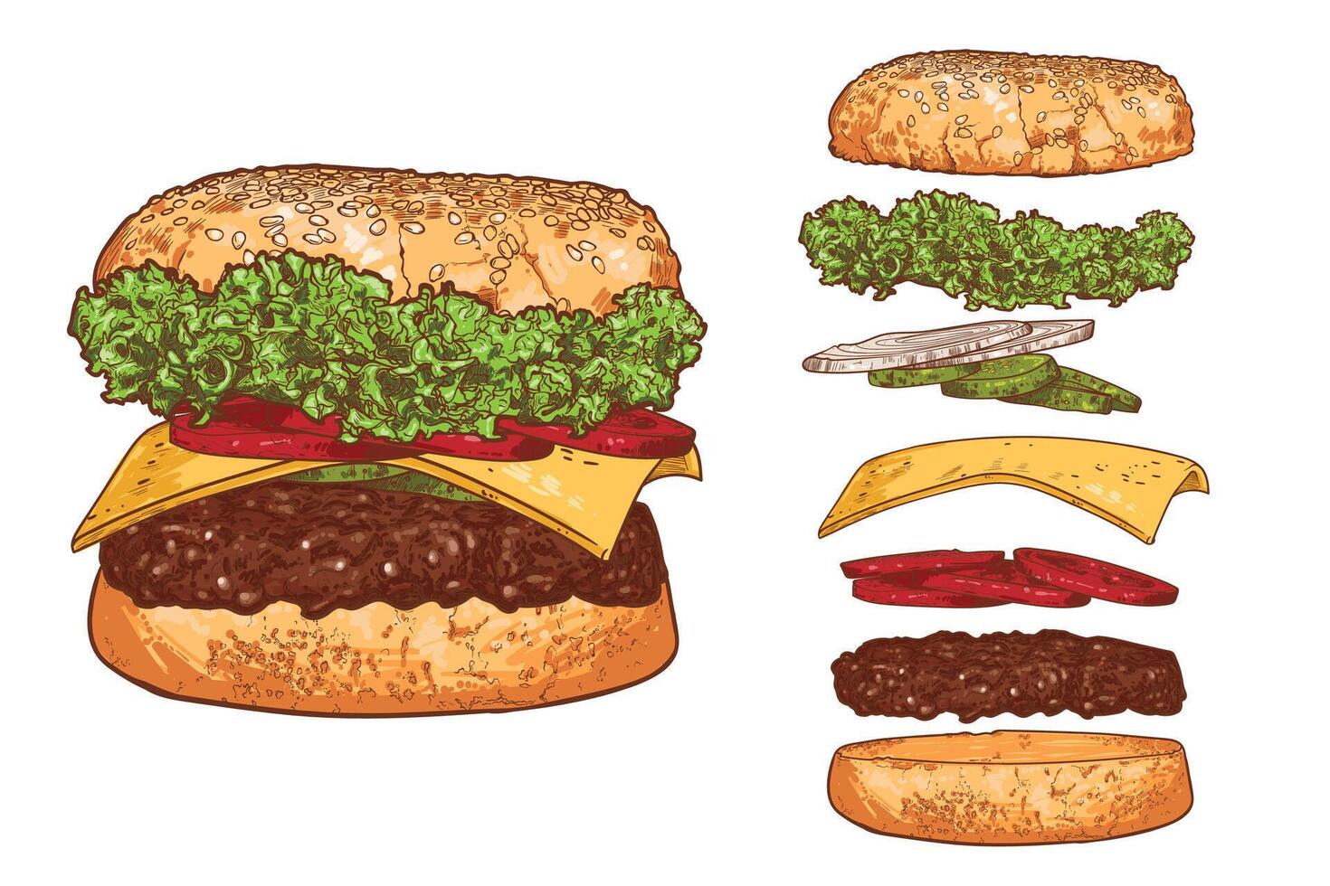 ham burger line art hand drawn fast food with lettuce, cucumber, cheese, onion, minced meat, bread bun. Flying separate ingredients on white background. vector