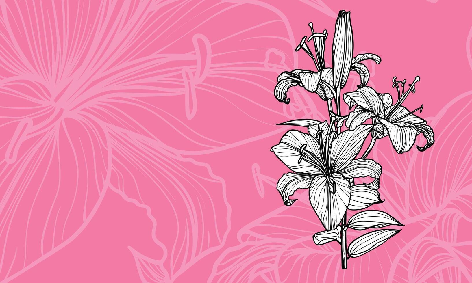 Hand drawn outline of tiger lily flowers with petals and leaves. Elegant black outline of a summer flower on a pink background. Easy to edit and ready to be used vector