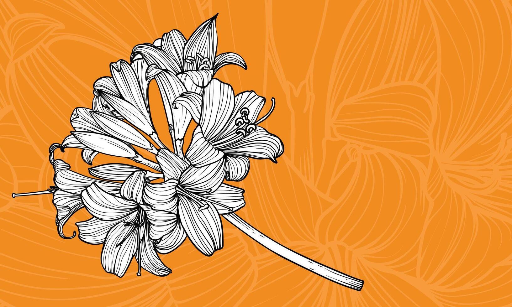 Hand drawn outline of tiger lily flowers with petals and leaves. Elegant black outline of a summer flower. These assets are outline only. Easy to edit and ready to be used vector
