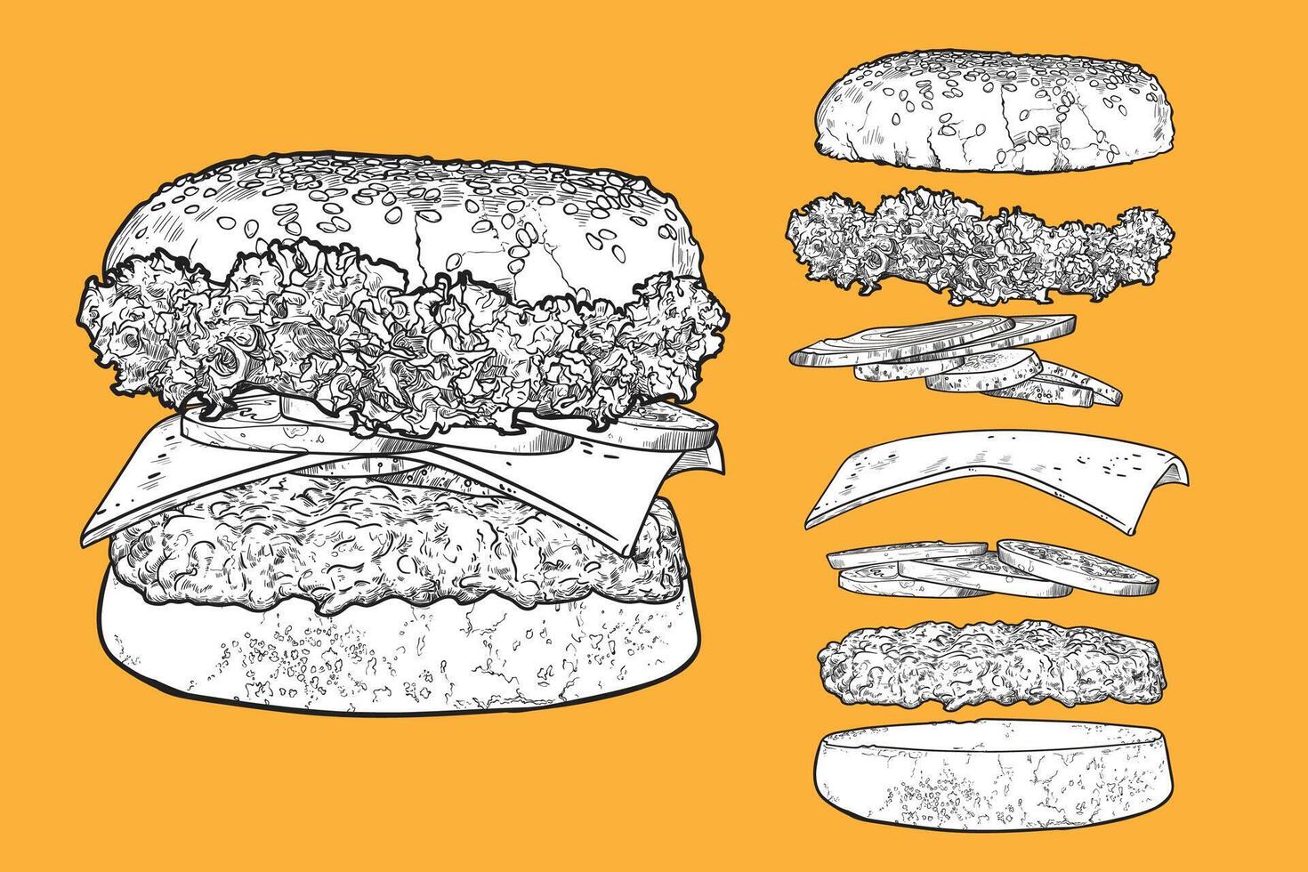 hamburger line art hand drawn and colored fast food with lettuce, pickled cucumber, cheese, onion, minced meat, bread bun. Ingredients are grouped separately. vector