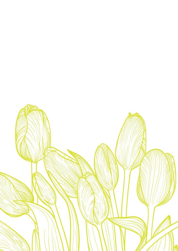 A4 design for cover with free space for text on top. Line art highly detailed hand drawn tulips on the bottom part of the design in a light green color on white background. vector