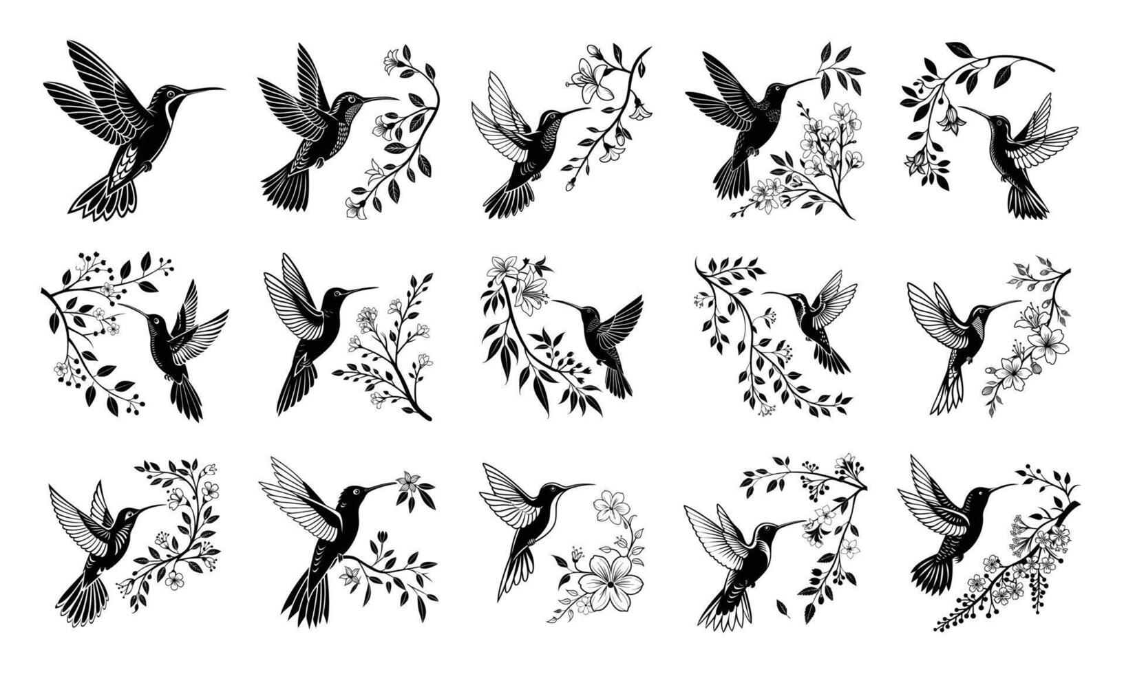 Elegant Hummingbird Floral Illustrations Nature-Inspired Bird vector