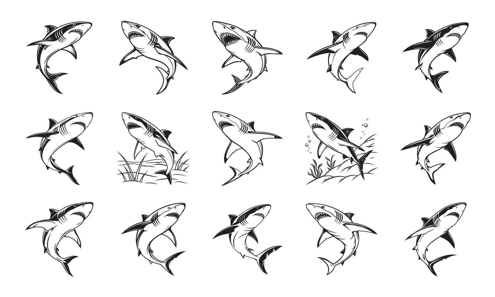 Black White Shark Illustrations Hand-Drawn Fierce Ocean Predators vector