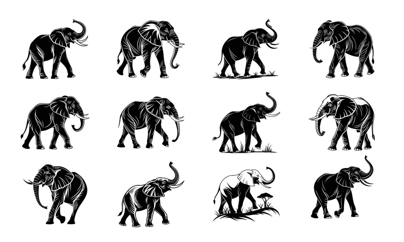 Elegant Black and White Elephant Illustrations vector