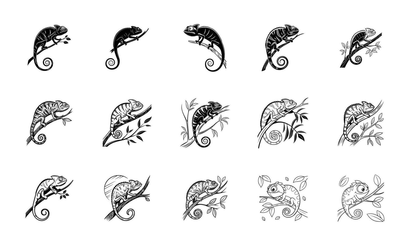 Chameleon Illustrations Black and White Reptile Artwork vector