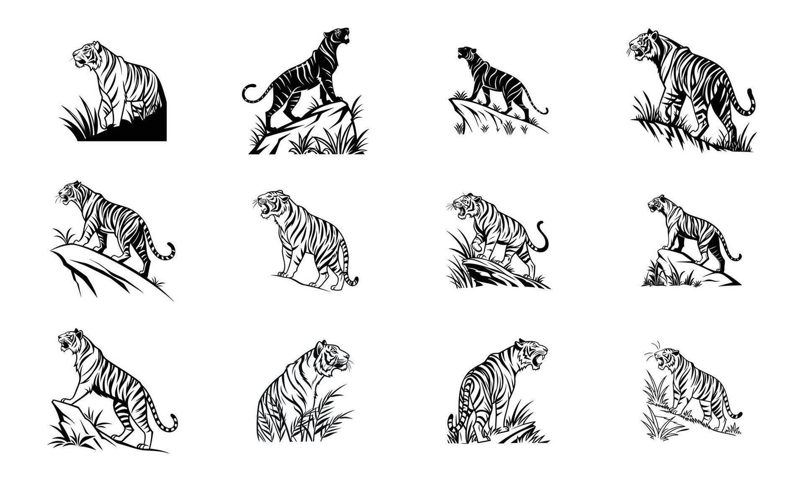 Black White Tiger Illustrations Wild Jungle Predator Art vector