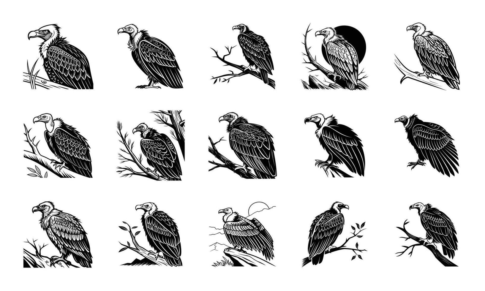 Vulture Illustrations Hand-Drawn Scavenger Bird Clipart vector