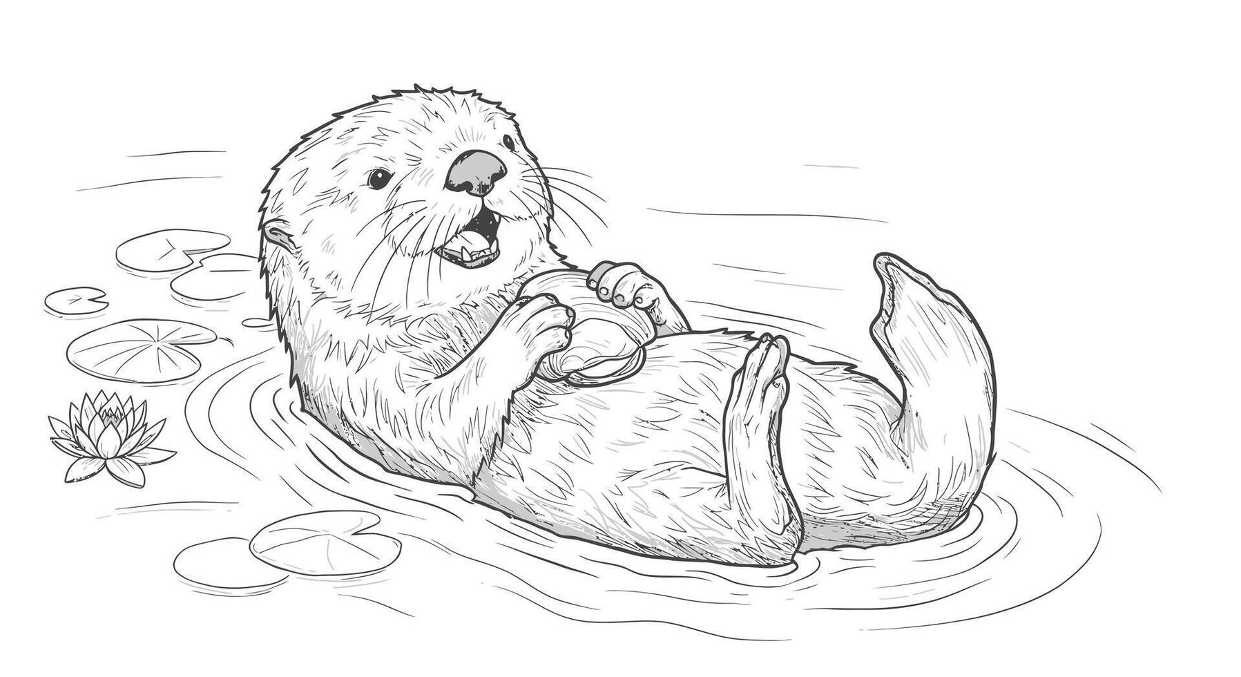 A drawing of an otter in the water vector