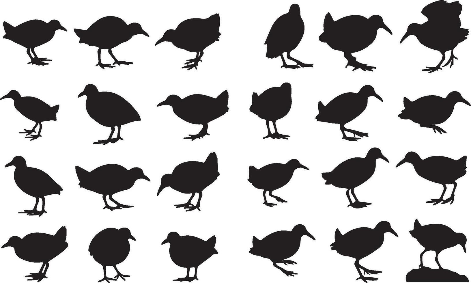 A set of silhouettes of birds in various poses vector