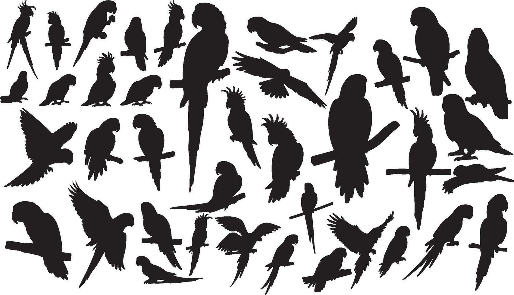 A large collection of silhouettes of parrots vector
