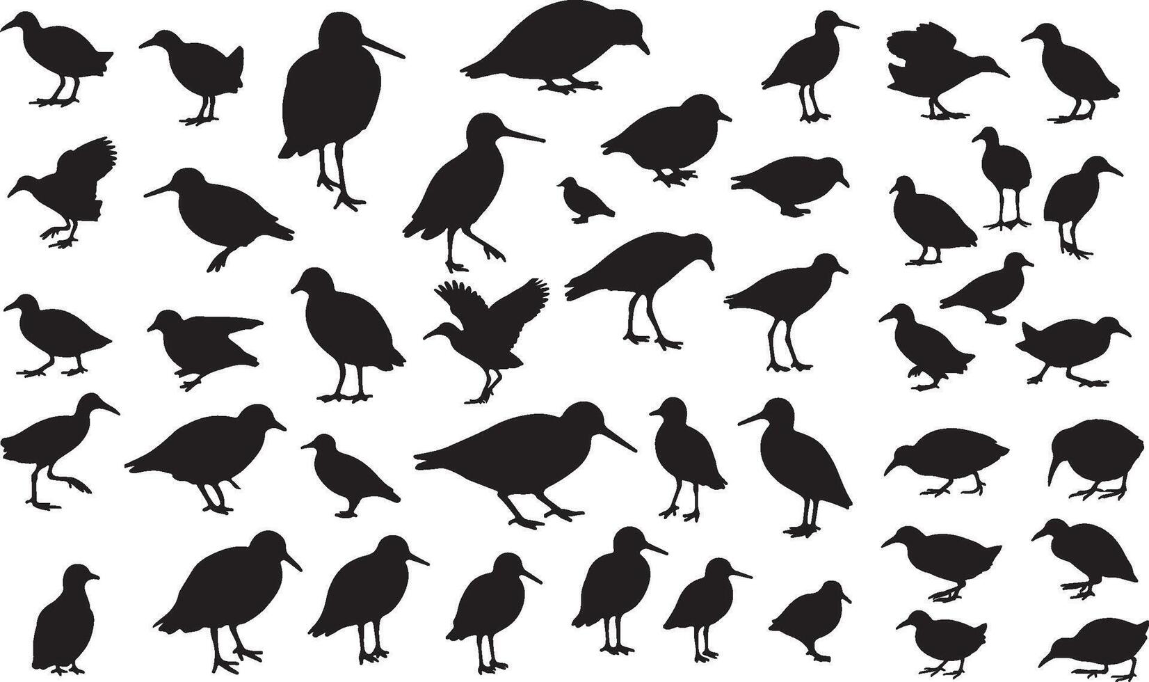 A collection of silhouettes of birds vector