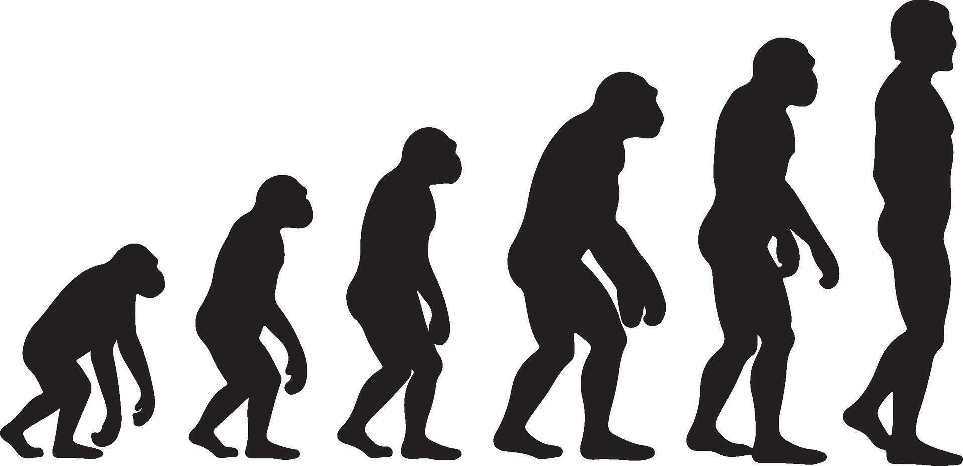 The evolution of man vector