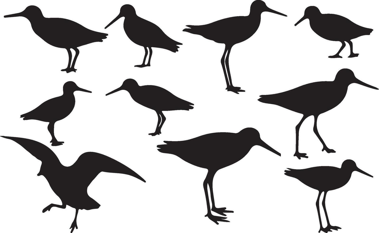 Black silhouettes of birds on a white background vector