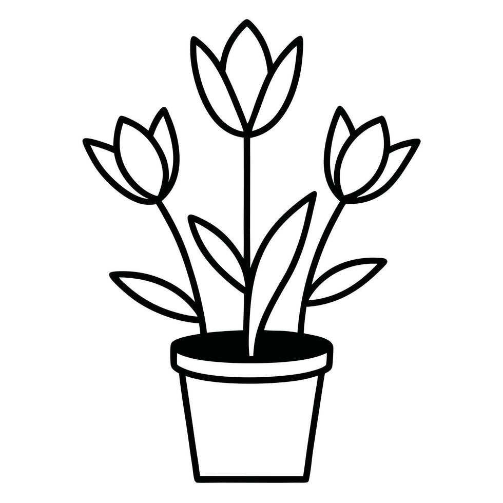 Violet crocus flowers in pot with leaves isolated on white. vector