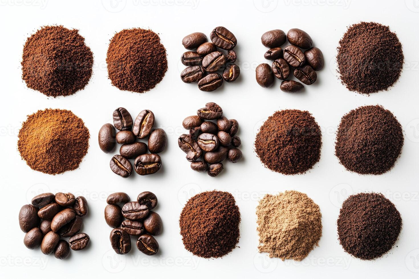 Assorted coffee grounds and beans arranged neatly in rows photo