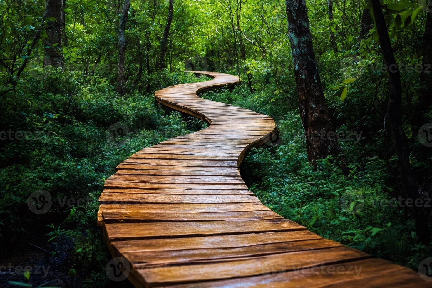 Serpentine wooden pathway through lush green forest photo