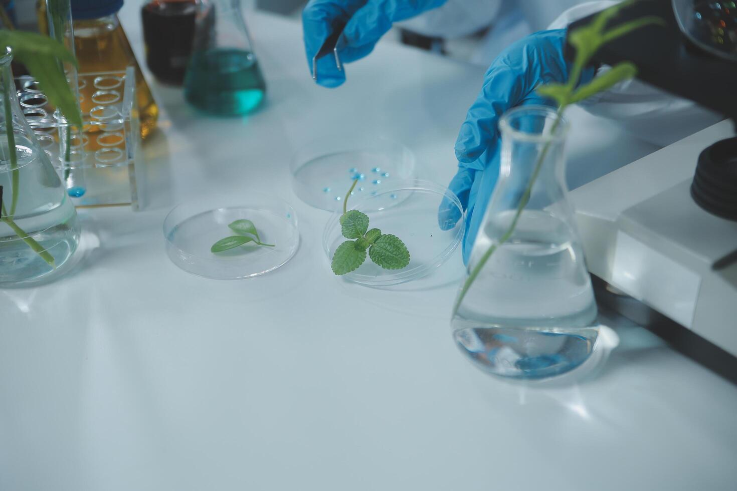 A person in blue gloves is holding a plant in a laboratory photo