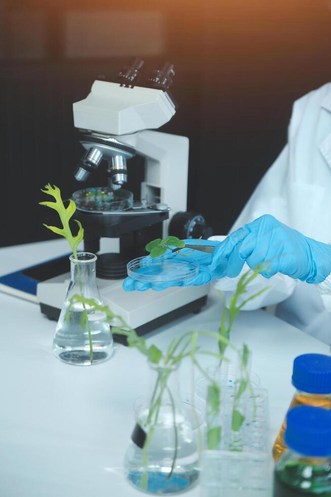 A person in a lab coat is holding a plant photo