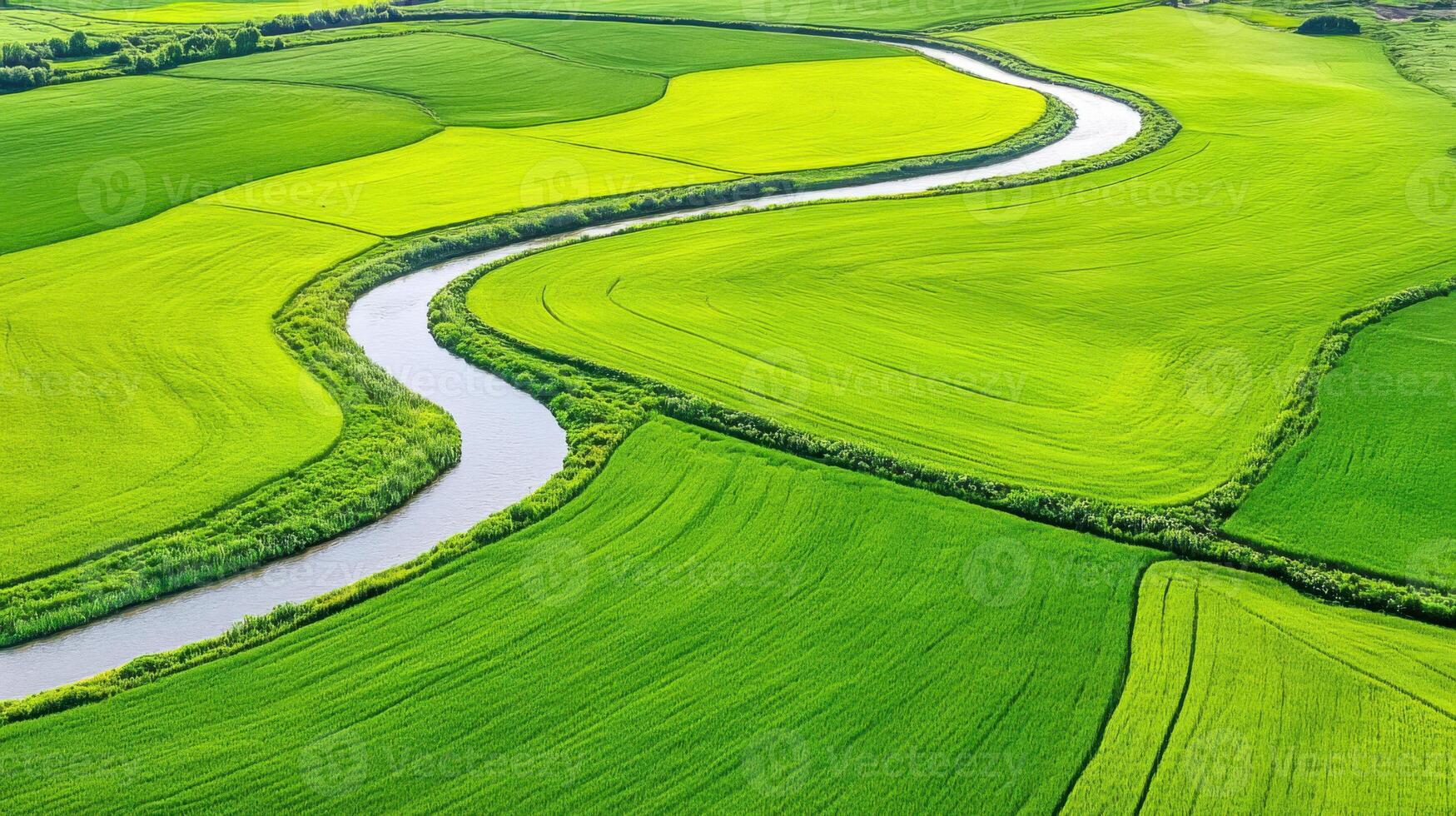 Vast rural landscape with patchwork fields and winding river captured during golden hour in vibrant greens and yellows photo