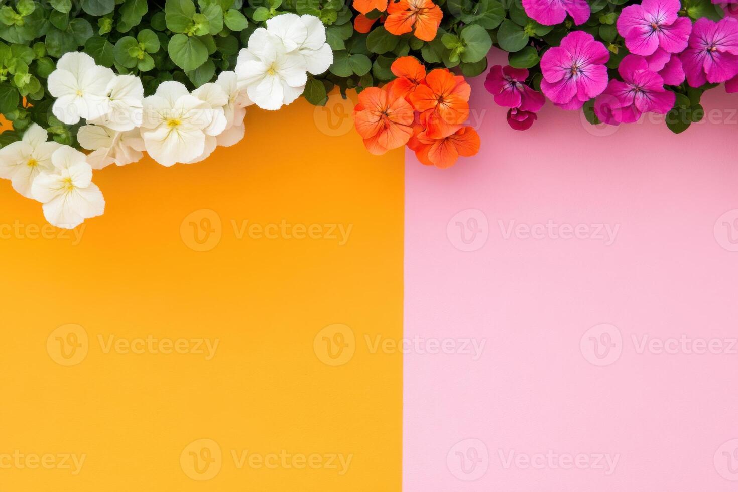 Hanging flower basket on a vibrant split wall showcasing bold geometric colors in warm natural light photo