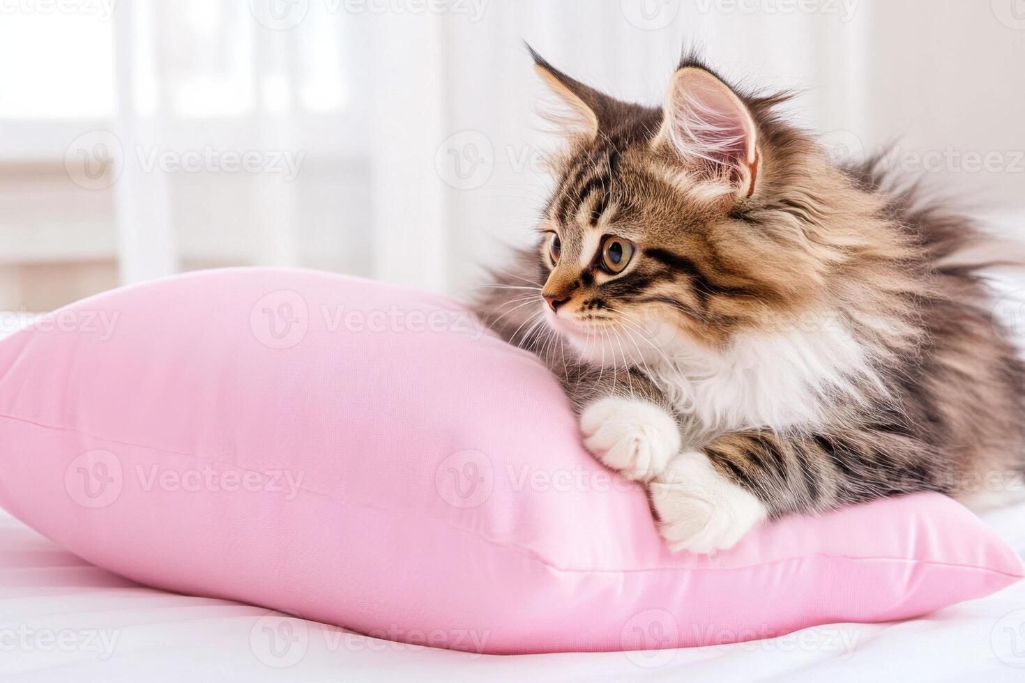 Fluffy kitten lounging comfortably on a soft blush pink pillow in a cozy pastel setting photo