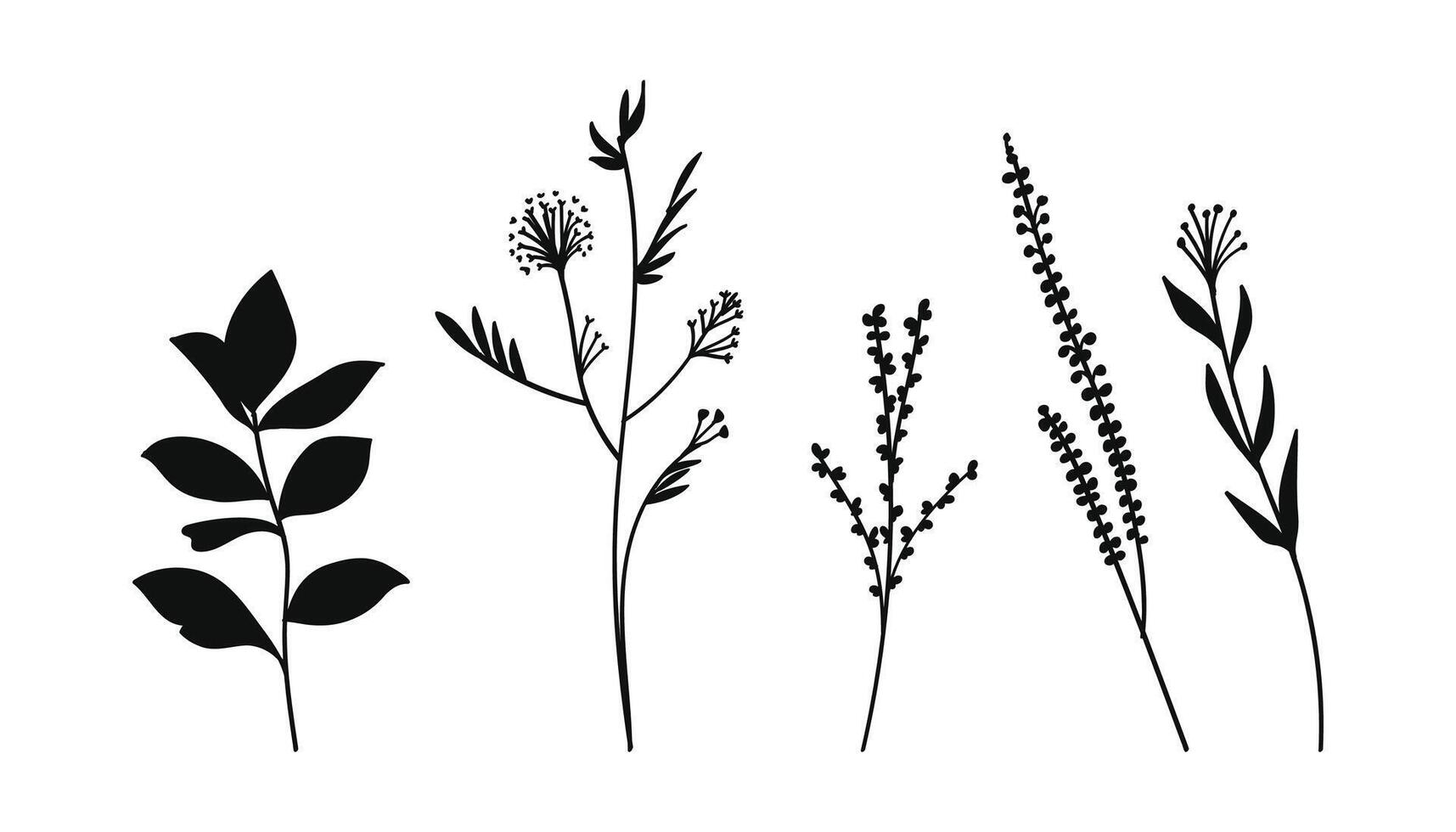 Botanical Floral Silhouette Collection Hand-Drawing Illustration vector