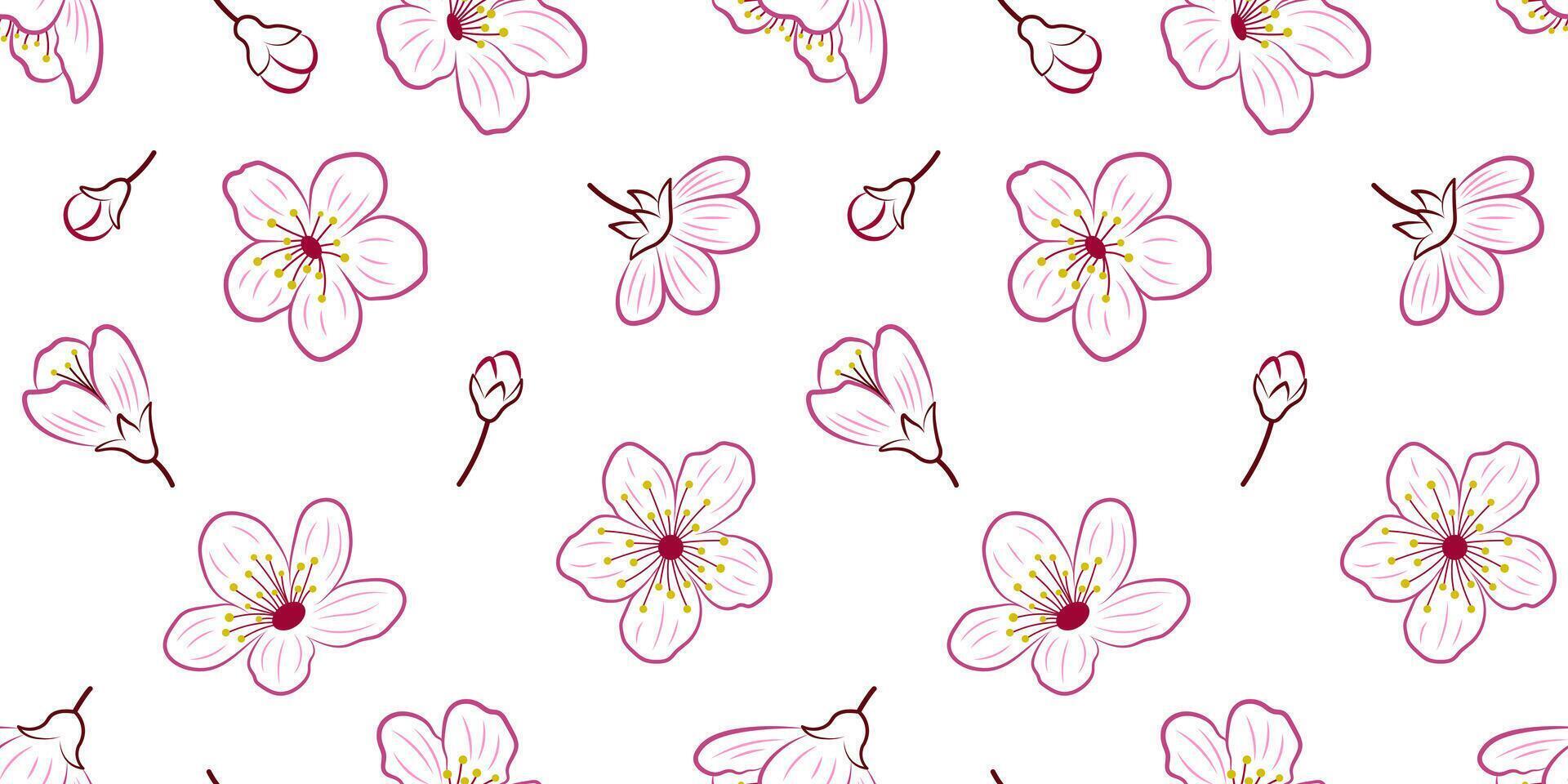 Seamless pattern with colored outlines of sakura flowers and buds on a white background for textile, fabric, wrapping paper. Botanical pattern with cherry blossom. vector