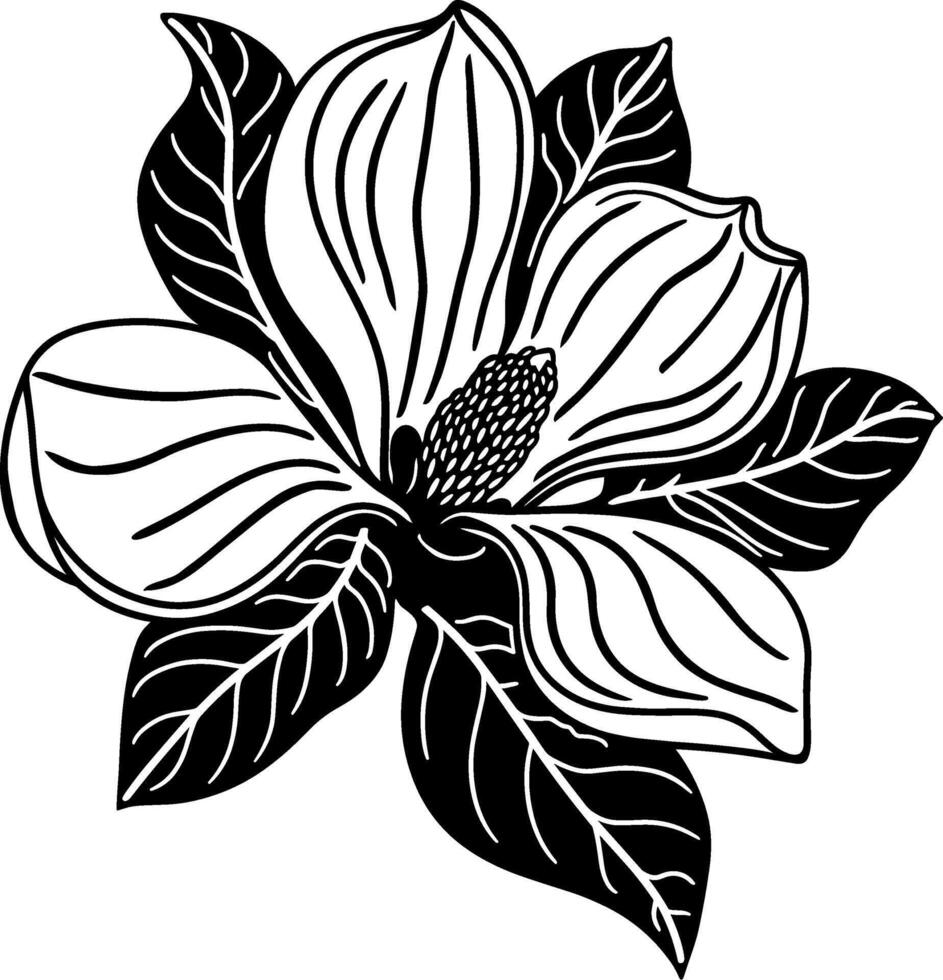 Magnolia Flower Silhouette Art vector