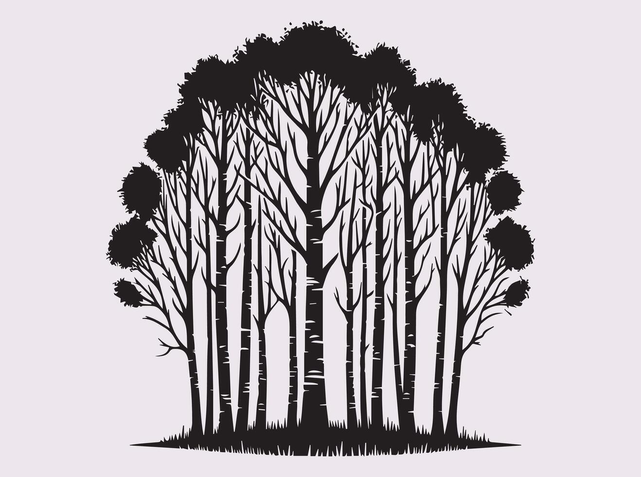 Black Color Birch Tree Forest Silhouette with Tall Trunks and Leafless Branches in a Scenic View vector
