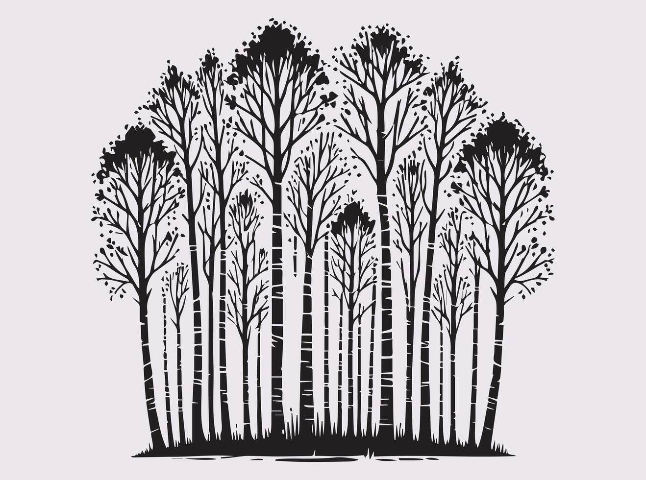 Black Birch Tree Forest Silhouette Featuring Natural Woodland with Beautifully Detailed Tall Trees vector