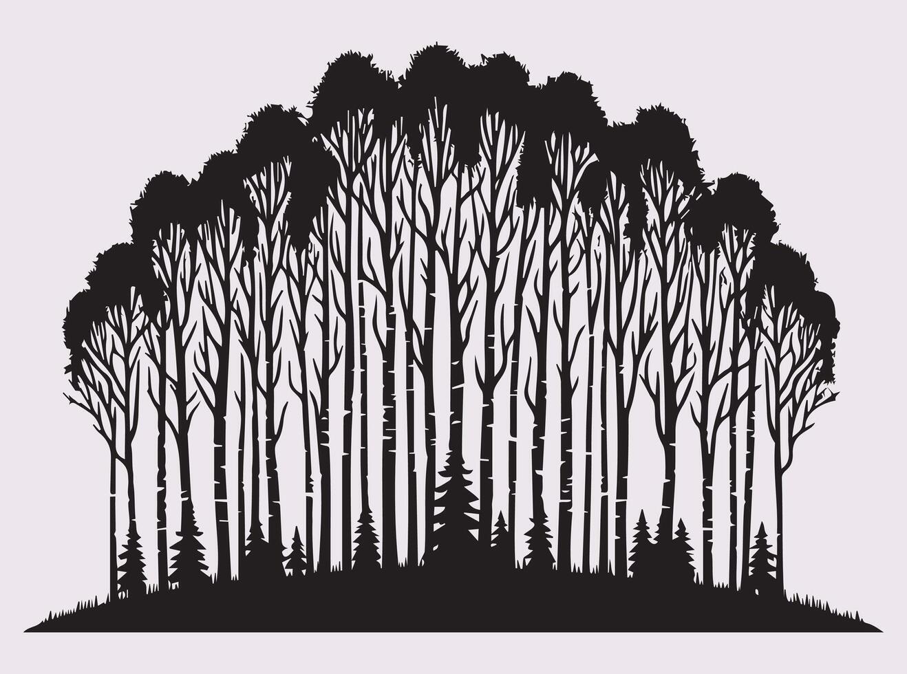 Black Silhouette of Birch Tree Forest with Tall Trunks and Detailed Branches in a Natural Landscape vector