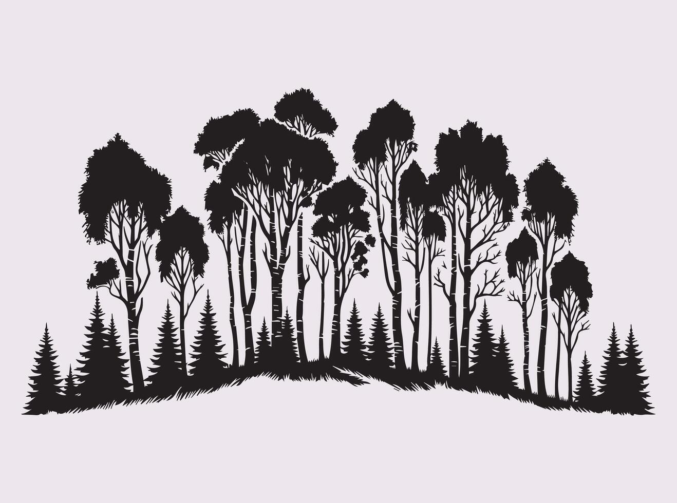Detailed Birch Tree Forest Silhouette in Black Showcasing Woodland Beauty with Tall Trees vector