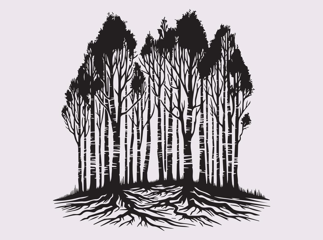 Birch Tree Forest Silhouette in Solid Black Color Featuring Tall Trees and Elegant Branch Structures vector