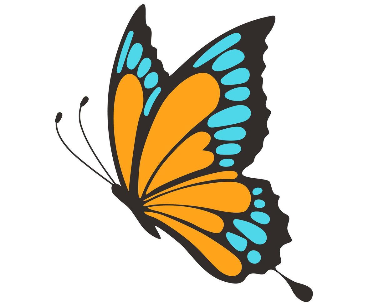 Butterfly colorful hand drawn illustration vector