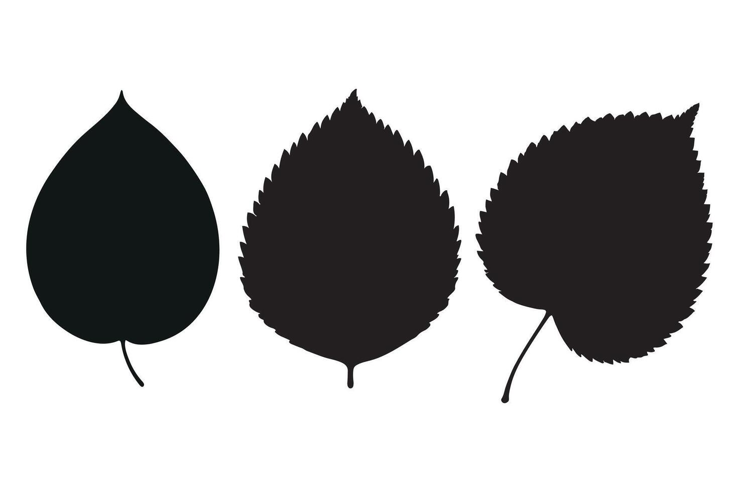 Modern Silhouette Leaf Graphics vector