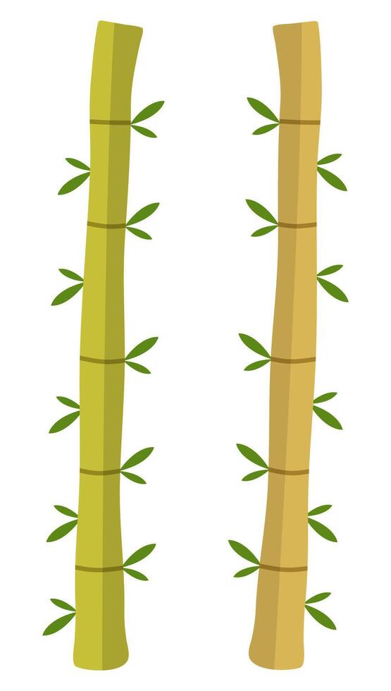 Bamboo flat icon isolated on white background. vector