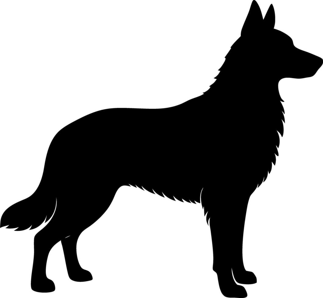 Silhouette of a Golden Shepherd Dog Standing in a Strong and Confident Posture vector