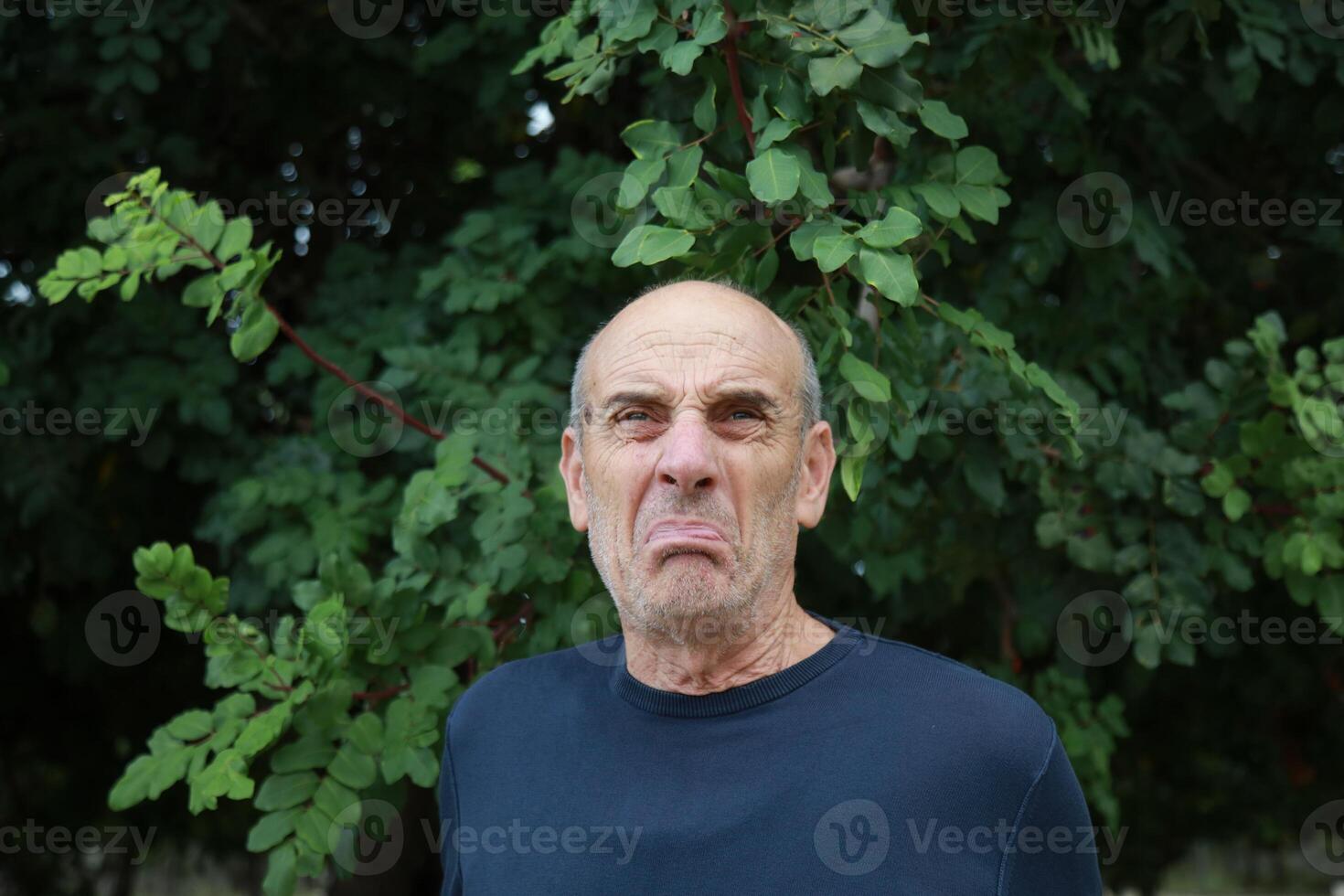 Disgusted Bald Elderly Man In Natural Park Under A Tree photo