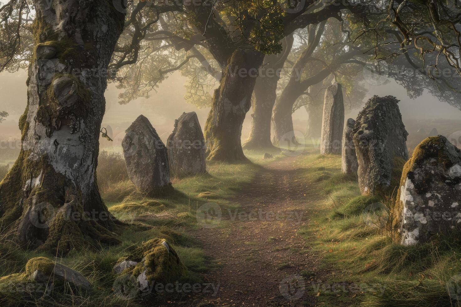 A path through the trees with stone walls and trees photo