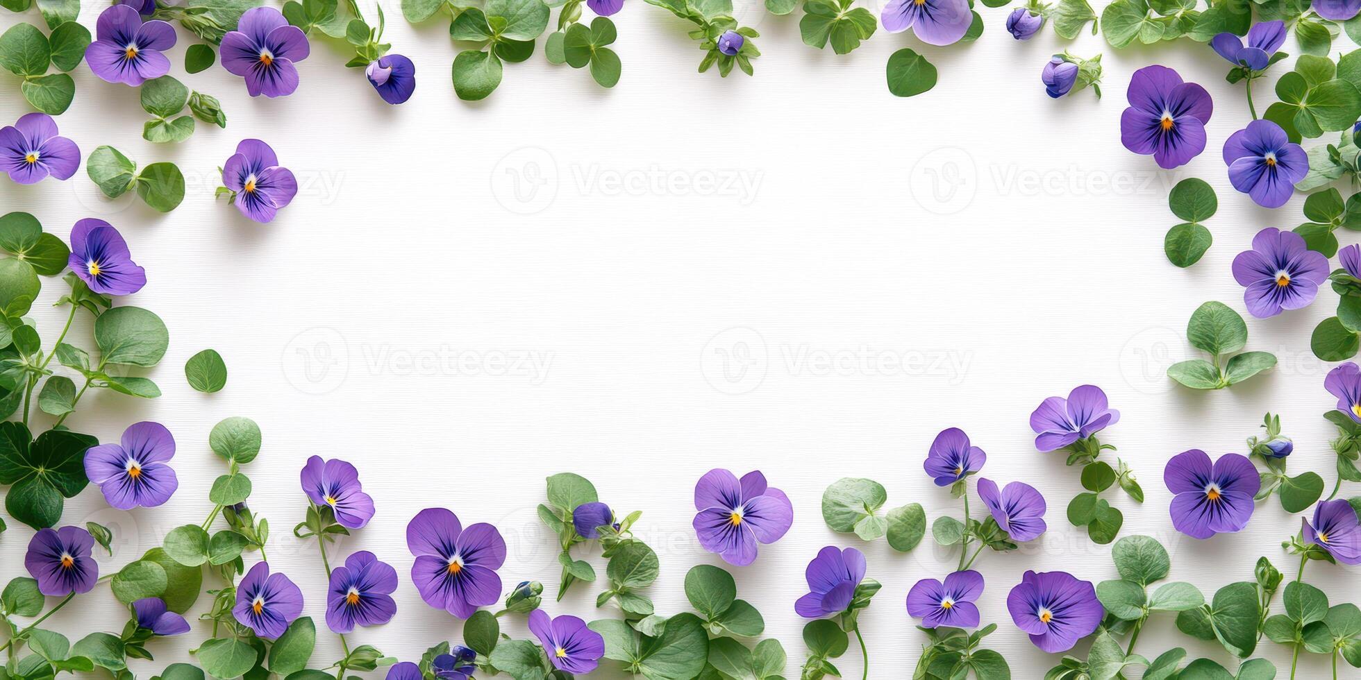 Vibrant purple violets and greenery create a beautiful border on a blank white background for creative projects photo