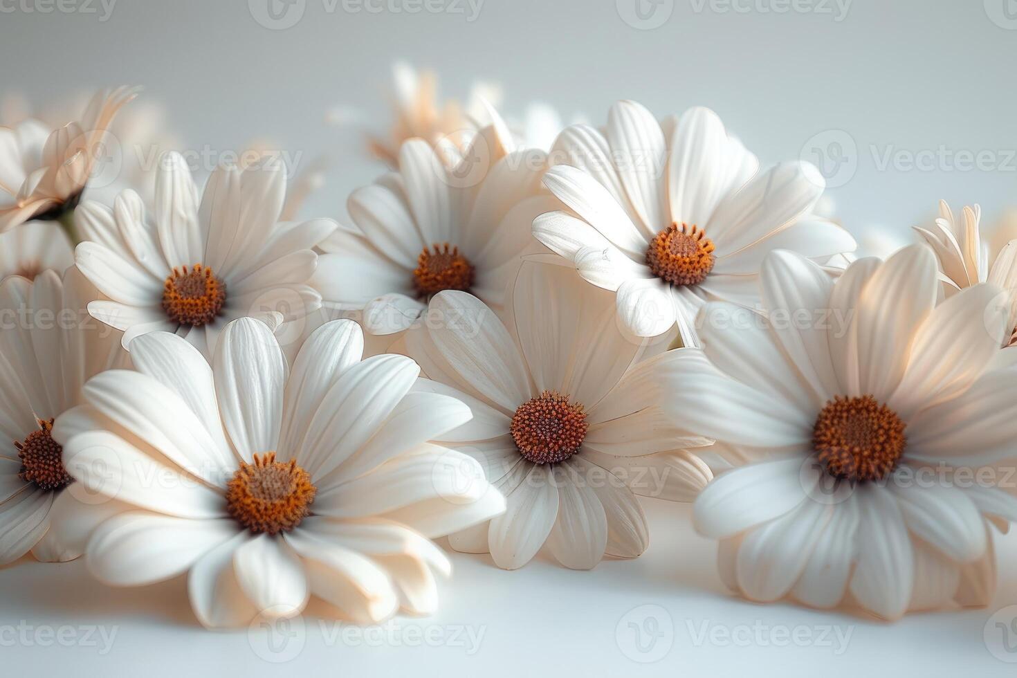 Delicate White Daisies Softly Clustered photo