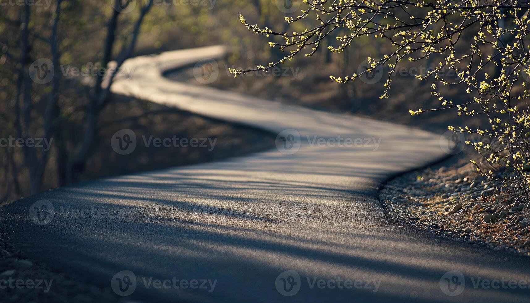 Winding Asphalt Path Through Spring photo