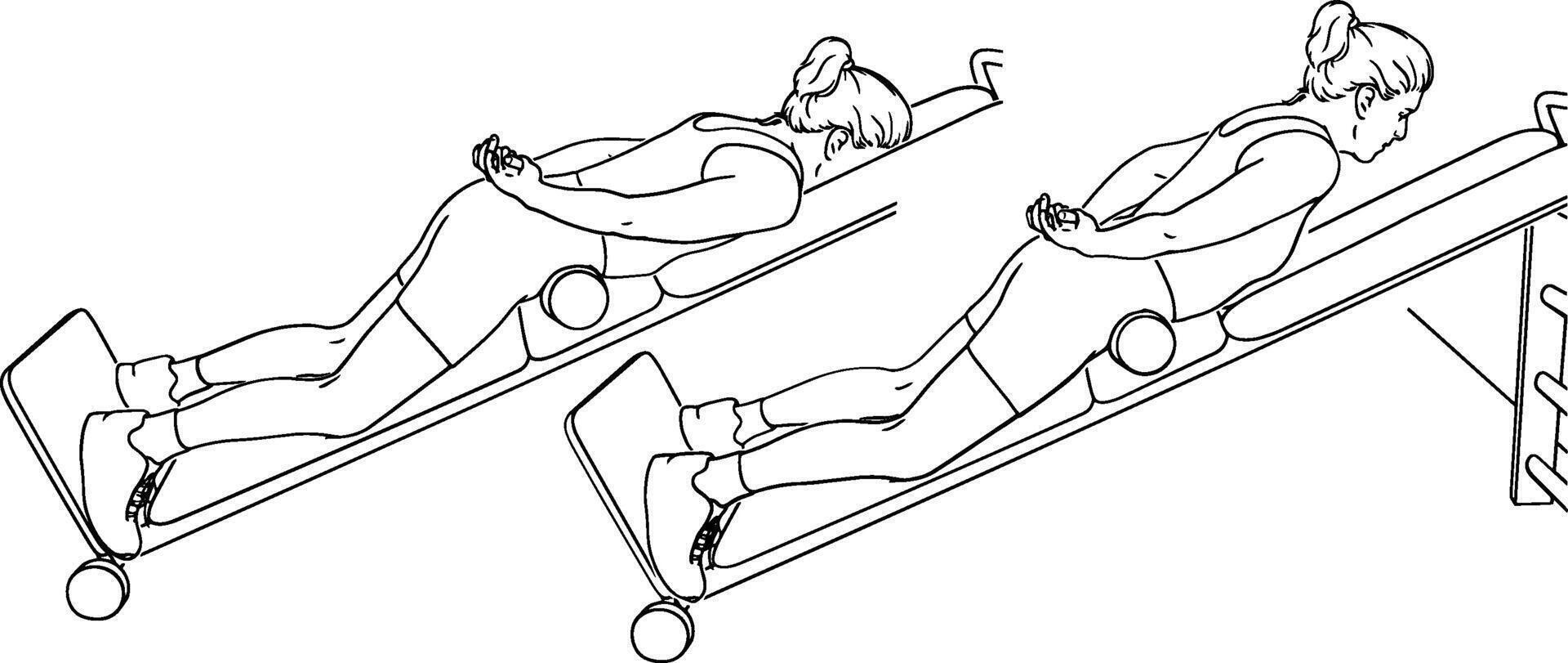 Hyperextension Exercise on Incline Bench Strength Training Illustration for Back and Core Workout vector