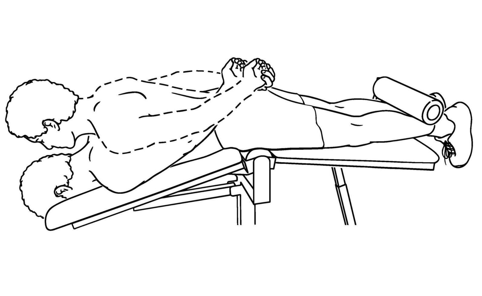 Reverse Incline Bench Back Extension Strength Training Illustration vector