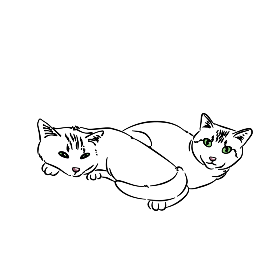 Two green eyes are staring at the camera png