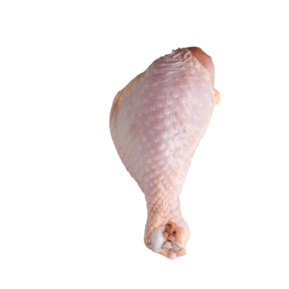 A close up of fresh one leg Chicken isolated png