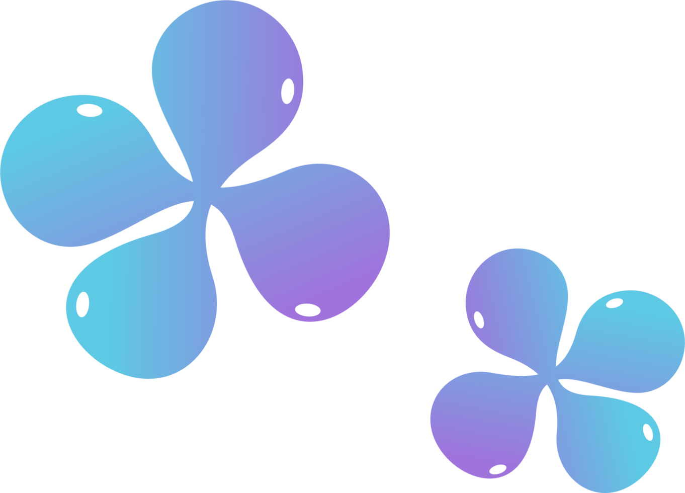 Liquid flower shape minimal color png