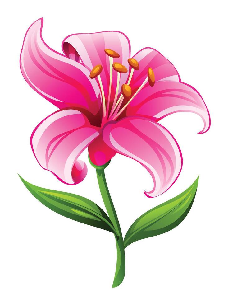 Soft pink lily flower with smooth petals and leaves, perfect for elegant floral designs. Cartoon illustration vector