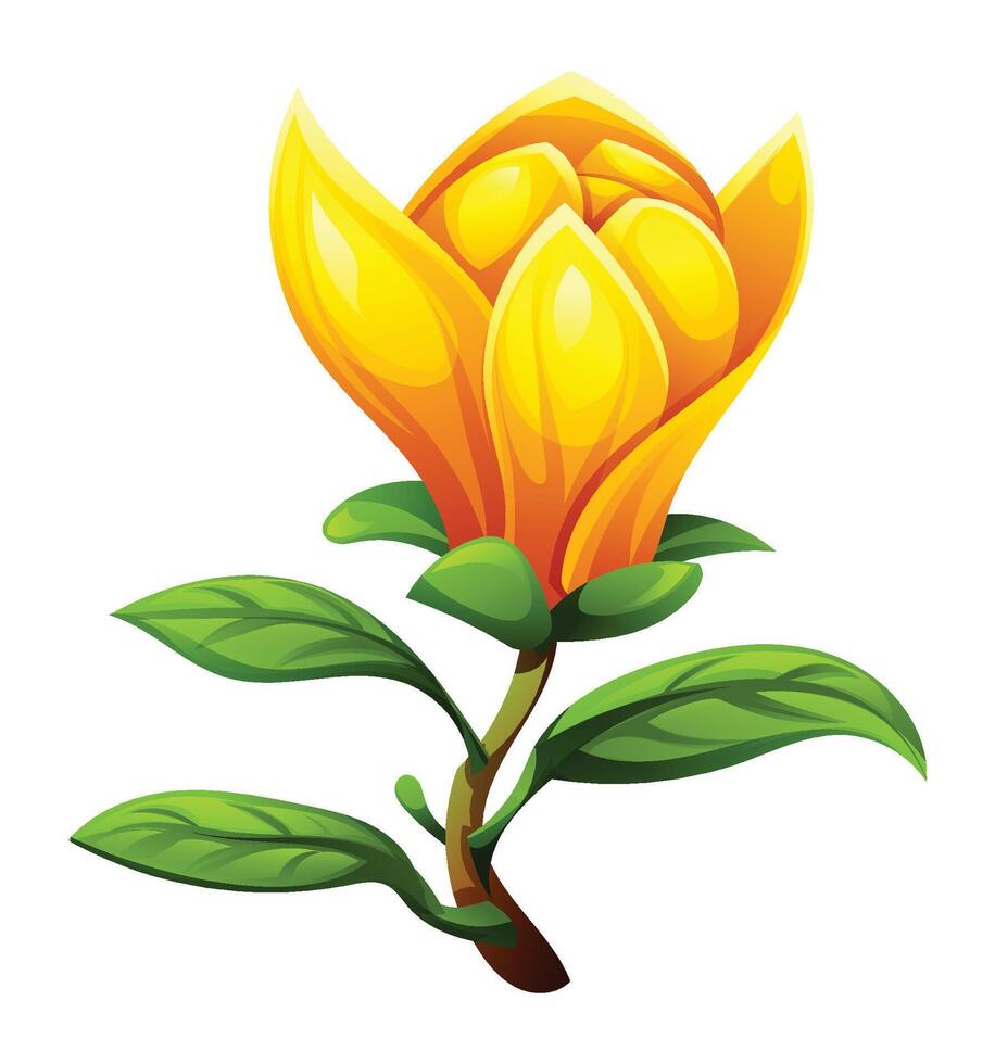 Yellow magnolia flower with leaves, partially open blossom. Cartoon illustration isolated on white background vector